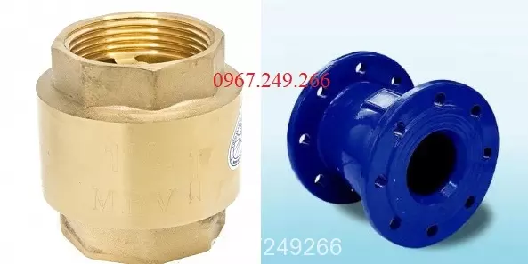 Van 1 chiều lò xo