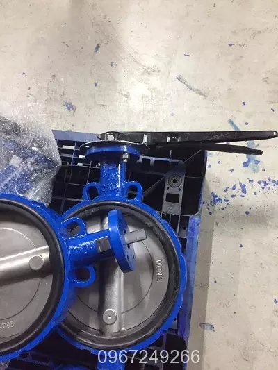 Van cánh con bướm Hàn Quốc