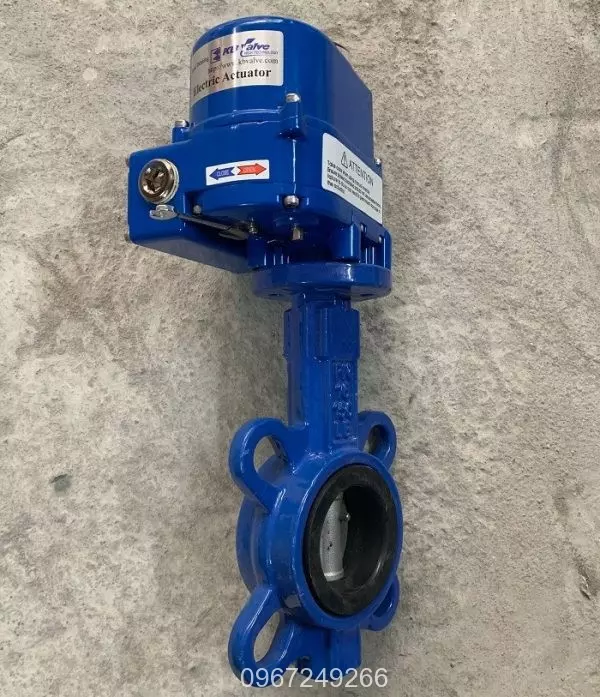 van_buom_khien_dien_kosa-3 van_buom_khien_dien_kosa.jpg2