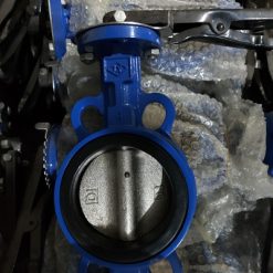 Van bướm Trung Quốc