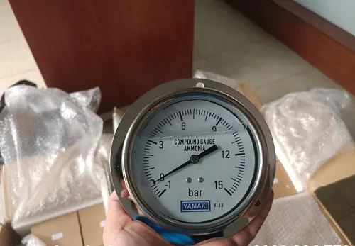 Đồng hồ đo nhiệt độ chân sau