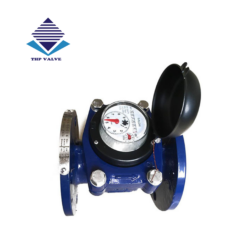 Hình ảnh đồng hồ nước T-Flow Malaysia