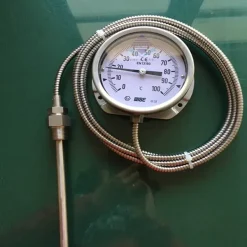 Đồng hồ đo nhiệt độ dạng dây Wise