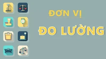 Đơn vị đo lường là gì?