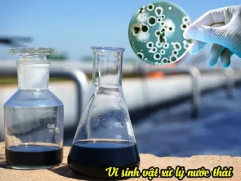 hệ thống vi sinh xử lý nước thải