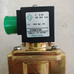 Van điện từ ODE 21H9KV180