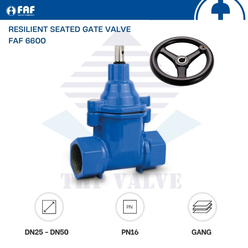 Van cổng FAF 6600 - Hình ảnh 4