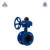 Van bướm 2 mặt bích tay quay gang Wonil DN65