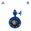 Van bướm 2 mặt bích tay quay gang Wonil DN80