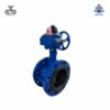 Van bướm 2 mặt bích tay quay gang Wonil DN100