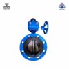 Van bướm 2 mặt bích tay quay gang Wonil DN125