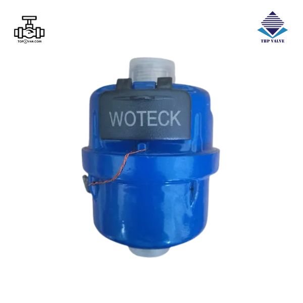 Đồng hồ đo nước cấp C Woteck WTXC