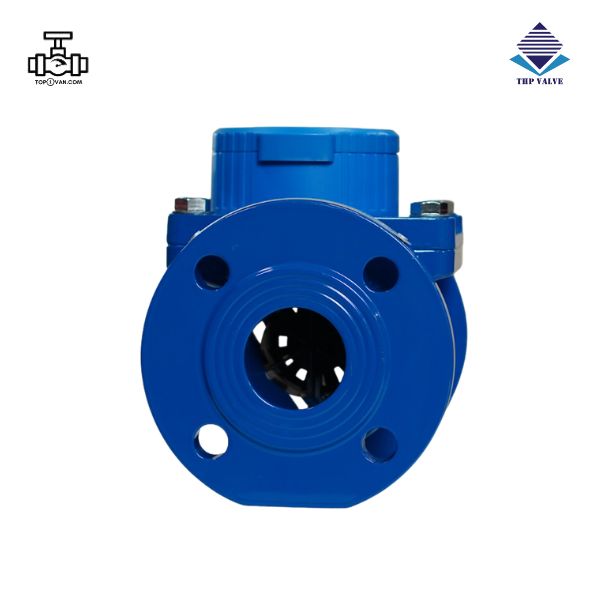 Đồng hồ nước dạng cơ Woteck Đài Loan DN50 - Hình ảnh 2