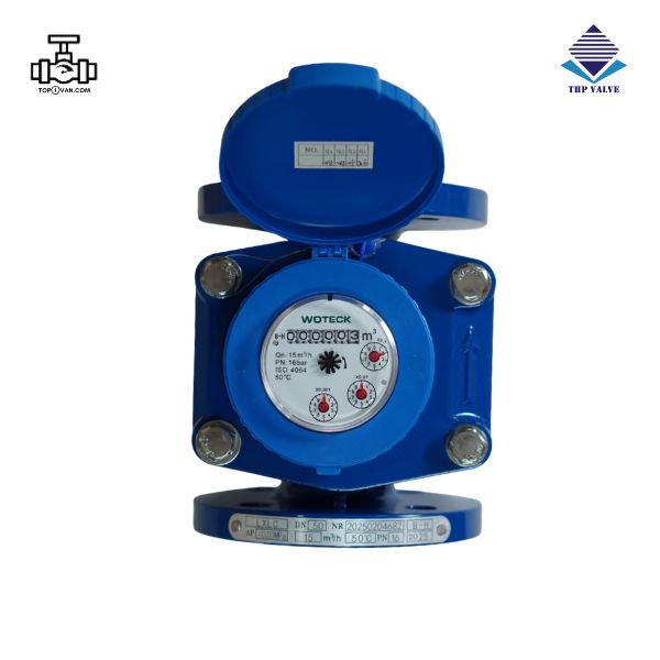Đồng hồ nước dạng cơ Woteck Đài Loan DN50