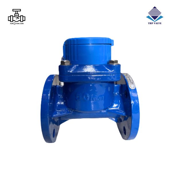 Đồng hồ nước dạng cơ Woteck Đài Loan DN50 - Hình ảnh 3