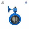 Van bướm 2 mặt bích tay quay gang Wonil DN300