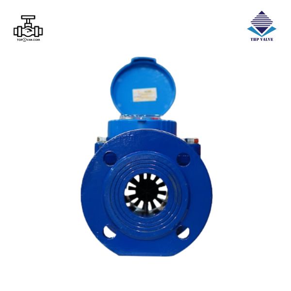 Đồng hồ nước dạng cơ Woteck Đài Loan DN65 - Hình ảnh 2