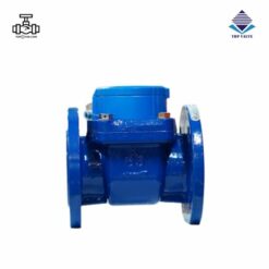 Đồng hồ nước dạng cơ Woteck Đài Loan DN65
