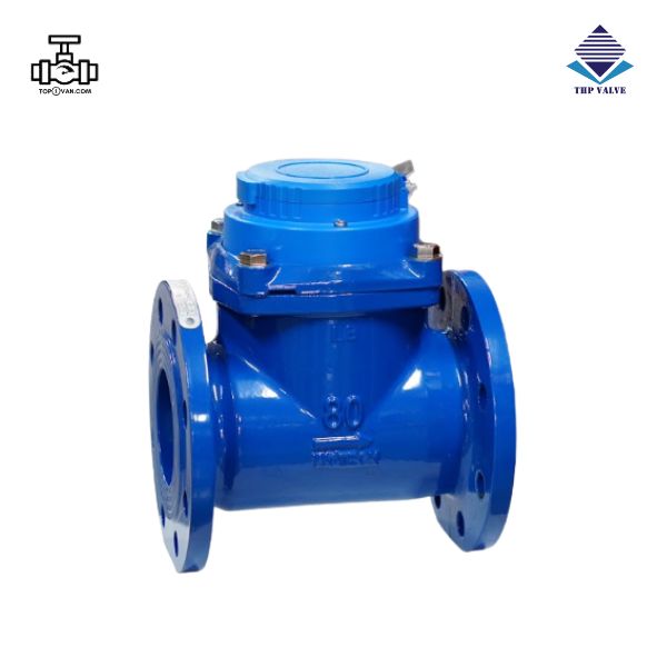 Đồng hồ nước dạng cơ Woteck Đài Loan DN80 - Hình ảnh 2