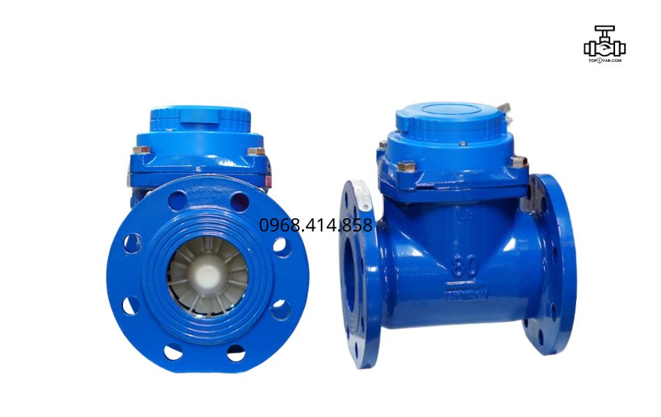 Đồng hồ nước dạng cơ Woteck Đài Loan DN80