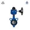 Van bướm tín hiệu điện gang Wonil DN65