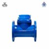 Đồng hồ nước dạng cơ Woteck Đài Loan DN100