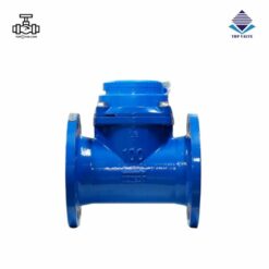 Đồng hồ nước dạng cơ Woteck Đài Loan DN100