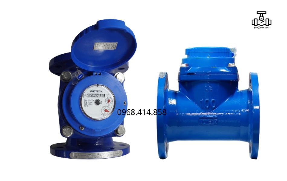 Đồng hồ nước dạng cơ Woteck Đài Loan DN100