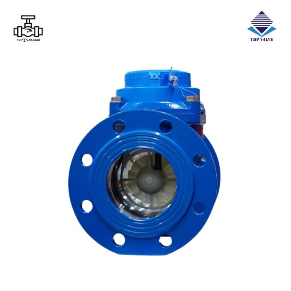 Đồng hồ nước Woteck Đài Loan DN125 - Hình ảnh 2