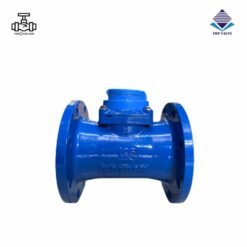 Đồng hồ nước Woteck Đài Loan DN125