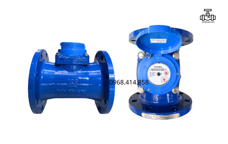 Đồng hồ nước Woteck Đài Loan DN125