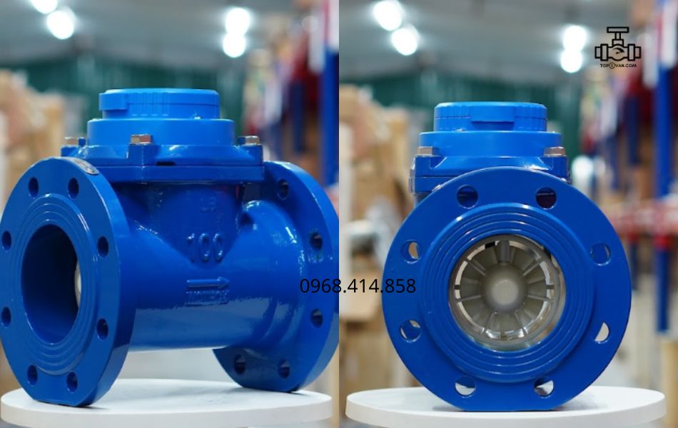 Đồng hồ nước dạng cơ Woteck Đài Loan DN100
