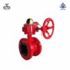 Van bướm tín hiệu điện gang Wonil DN100
