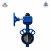 Van bướm tín hiệu điện gang Wonil DN80