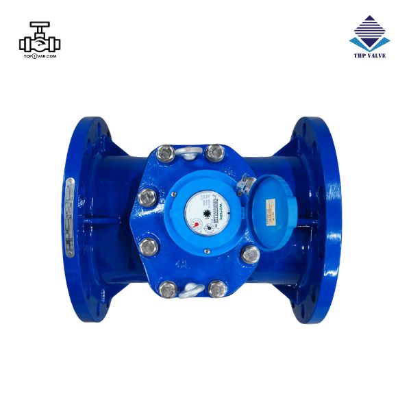 Đồng hồ nước dạng cơ Woteck Đài Loan DN250 - Hình ảnh 2