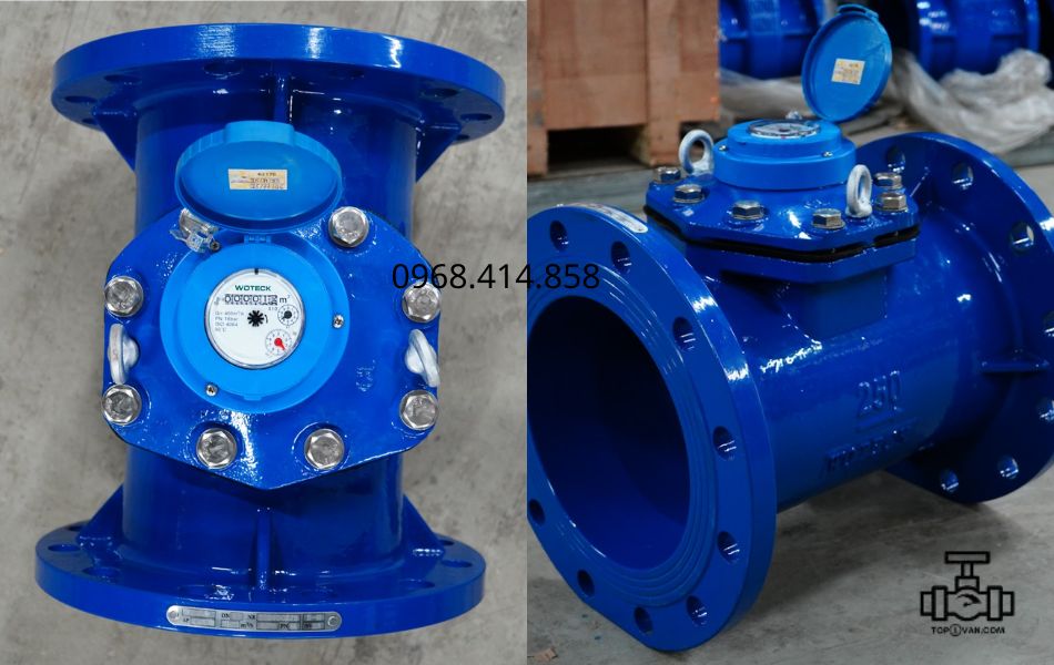 Đồng hồ nước dạng cơ Woteck Đài Loan DN250