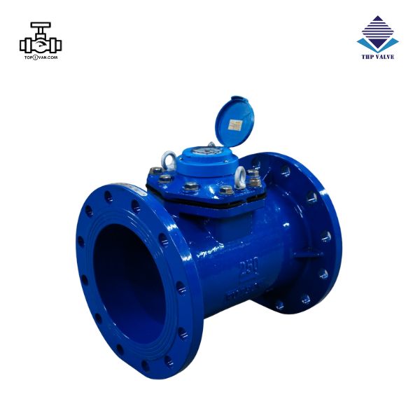 Đồng hồ nước dạng cơ Woteck Đài Loan DN250