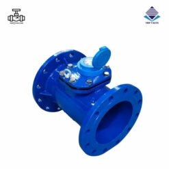 Đồng hồ nước dạng cơ Woteck Đài Loan DN300